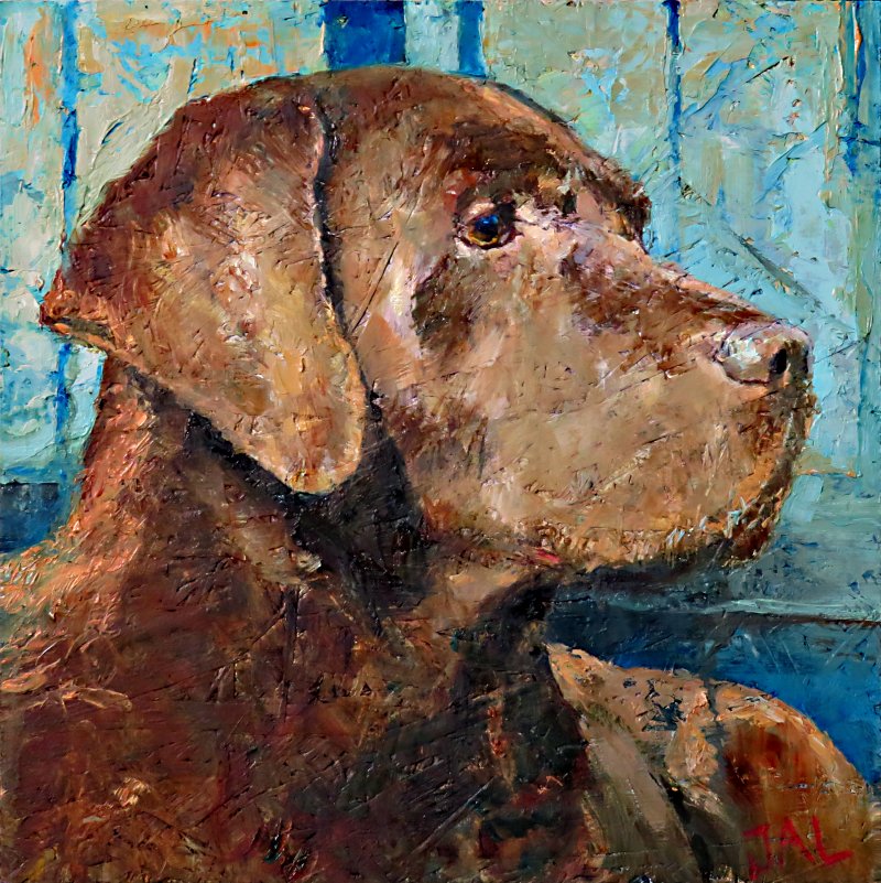 Rusty, Labrador